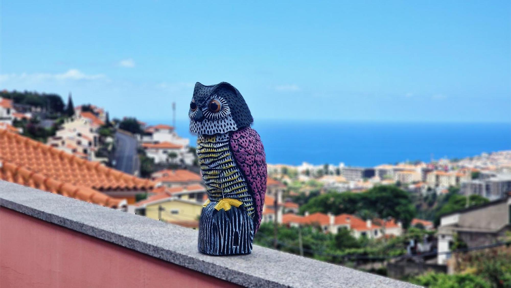 Casa de Férias Mon Reve Portugais By Lovelystay